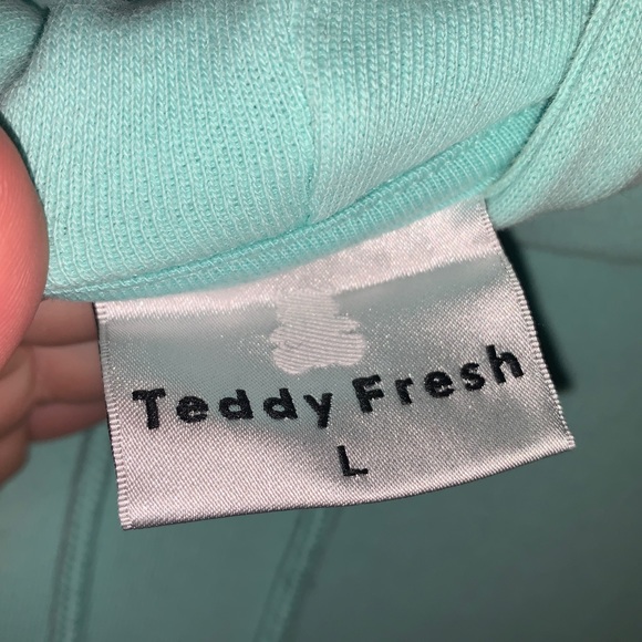 Teddy Fresh Three Panel Hoodie - Picture 10 of 10